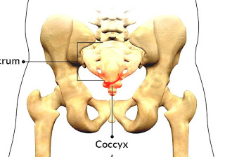 Tailbone pain cause, symptoms and treatment with 5 exercises